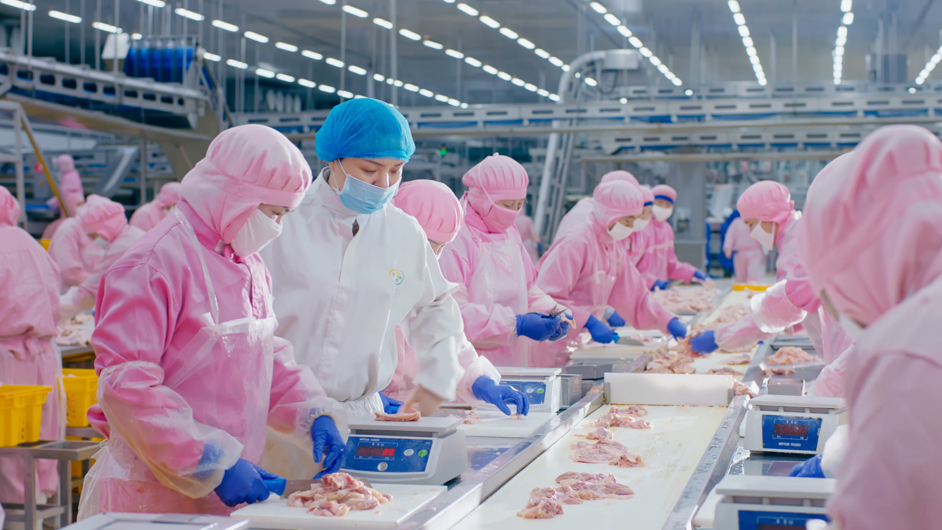 以人为本，携手员工共同成长